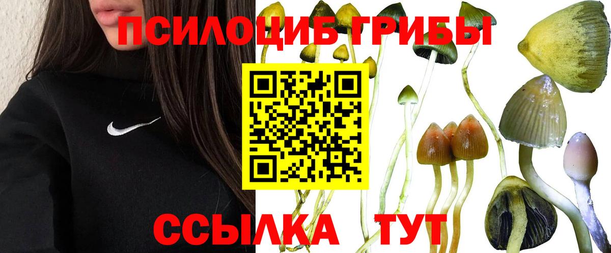 Железноводск  Псилоцибиновые грибы мухоморы  Вход с VPN 